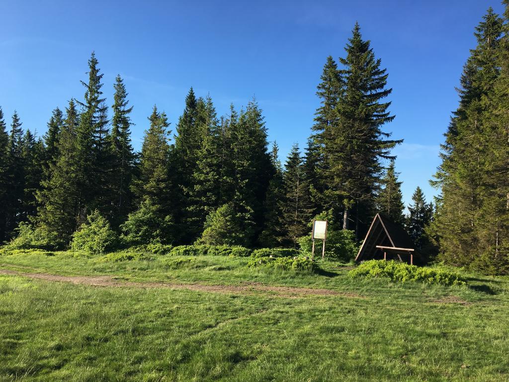 Agroturystyka Lesny Zakatek Stryszawa Exterior foto